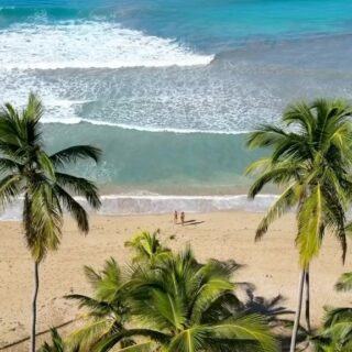De playas de ensueño a montañas exuberantes, la República Dominicana lo tiene todo. ¿Estás listo para explorar?

Escríbenos y reserva tu viaje 

#republicadominicana #puntacana #islasaona #aventura #descanso #nuevosdestinos #salirdelaritina #viaje #sanyogguptavoyages