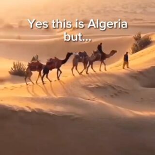 Let yourself be seduced by the cultural richness of Algeria, where hospitality is as warm as the desert sun

live your next adventure with us.

#algeria #algiers #northafrica #maghreb #visitalgeria
#algerianculture #algerianfood #algerianhistory
#algerianart #algerianheritage #travelagency #sanyogguptavoyages