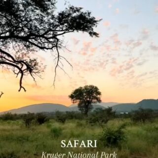 ¿Listo para tu próxima aventura? 🌍 

Explora lo salvaje y descubre lo indomable en nuestro safari de ensueño.

El corazón de África te espera. ⛰️🌿 

#safari #africa #parquenacionalkruger #nuevasexperiencias #viajeinolvidable #animalessalvajes #vacaciones #agenciadeviajes #sanyogguptavoyages